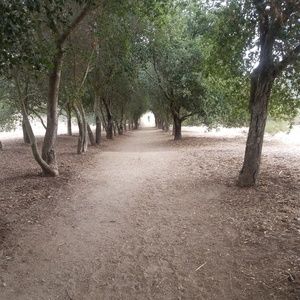 Meet your Posher, Javier